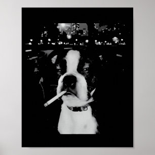 Funny Smoking Dog Meme Poster