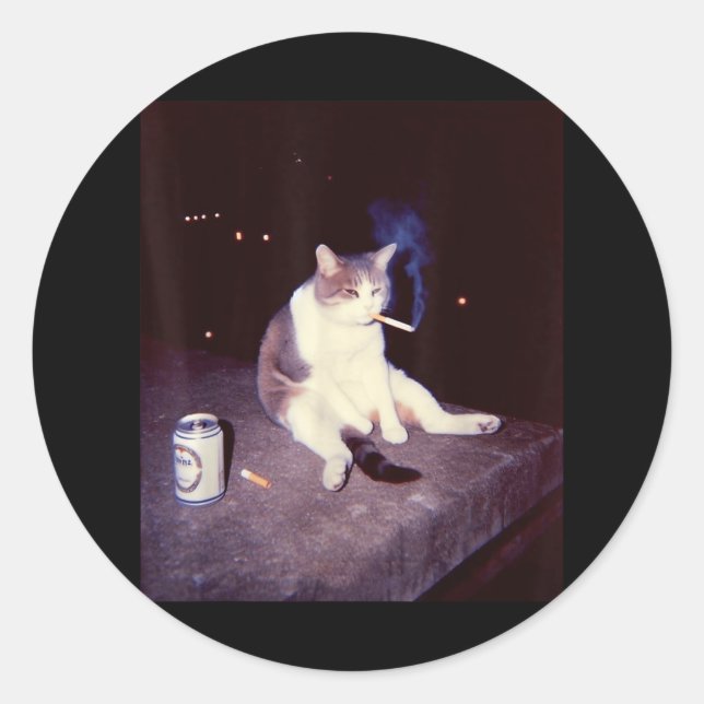 Funny Smoking Meme Cigarette Kitten Brainrot Silly Classic Round Sticker (Front)