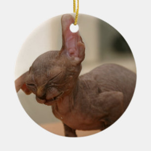 Funny sneezing sphynx kitten ceramic tree decoration