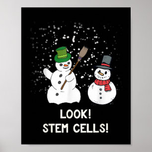 Funny Snowman Christmas Science Xmas Biology Snow  Poster