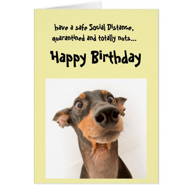 Funny Social Distancing Birthday Mini Doberman Dog (Front)