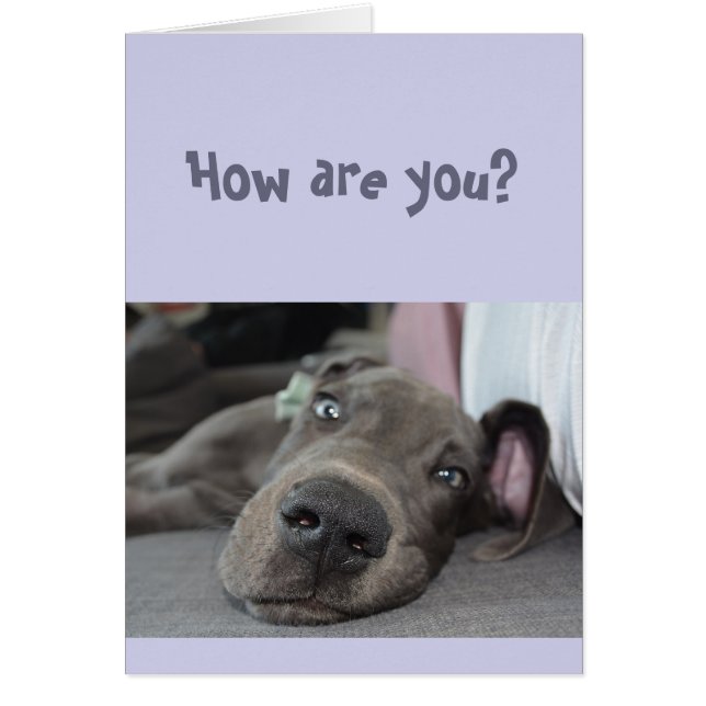 Funny Social Distancing Miss You Great Dane Dog (Front)