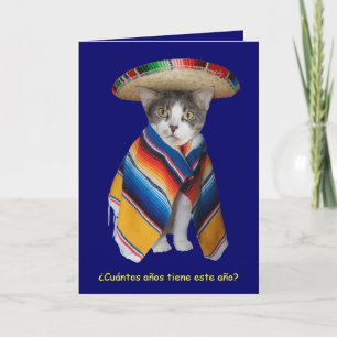 Funny Spanish Cat/Kitty Birthday Card