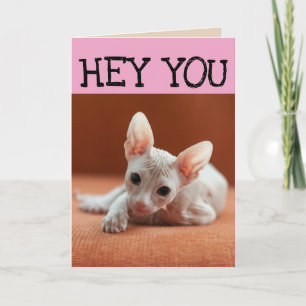 FUNNY SPHYNX CAT BIRTHDAY GREETING CARDS