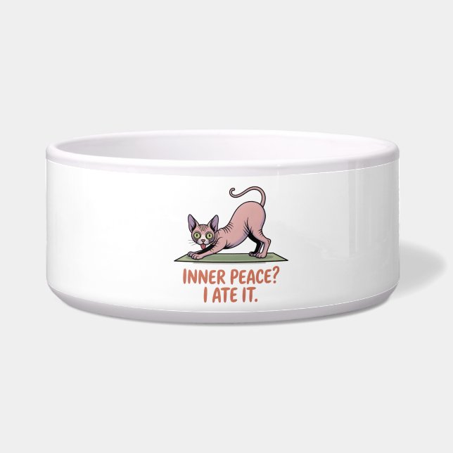 Funny Sphynx Cat Yoga Cartoon Art (Front)