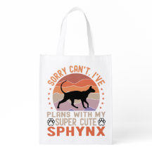 Funny Sphynx Owner Have Plans with Sphynx Cat