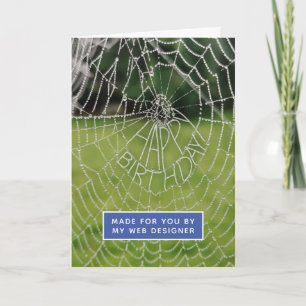 Funny Spider Web Web Designer Birthday Card