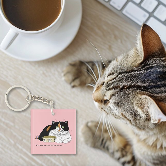 Funny Spoiled Calico Feed Cat Pink Key Ring (Creator Uploaded)