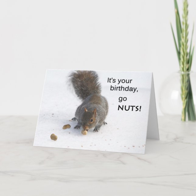 Funny squirrel birthday card - Go nuts (Front)