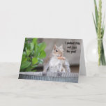 Funny squirrel Birthday for dear friend Card<br><div class="desc">Funny squirrel birthday card for a treasured dear friend.  Keep text as is (front of card and inside) or customise with your own.</div>