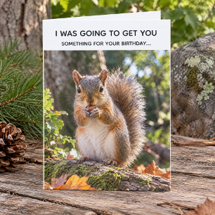 Funny Squirrel Birthday Joke Photo Birthday Card