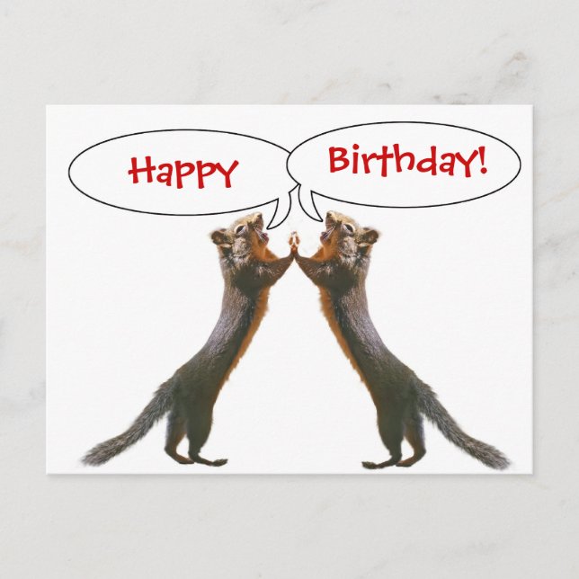Funny Squirrel Birthday Postcard (Front)