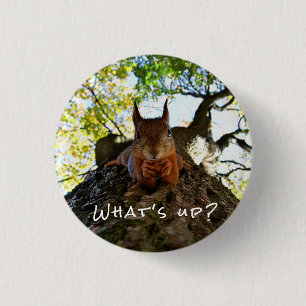 Funny Squirrel Cute Animals Hello There From Hi 3 Cm Round Badge