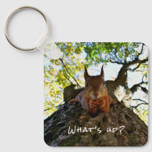 Funny Squirrel Cute Animals Hello There From Hi Key Ring