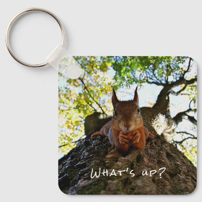 Funny Squirrel Cute Animals Hello There From Hi Key Ring (Front)