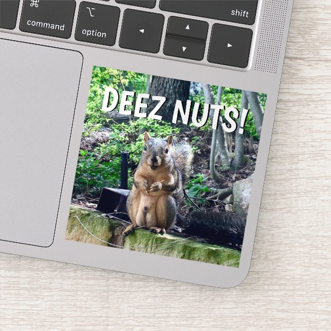 Funny Squirrel Deez Nuts Adult Humour Laptop (Detail)