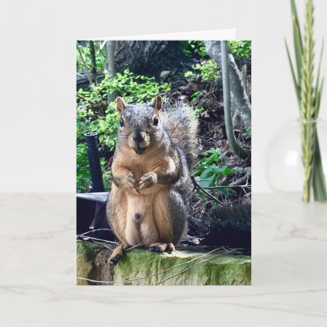 Funny Squirrel Deez Nuts Custom Text Birthday Card (Front)