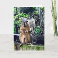 Funny Squirrel Deez Nuts Custom Text Birthday