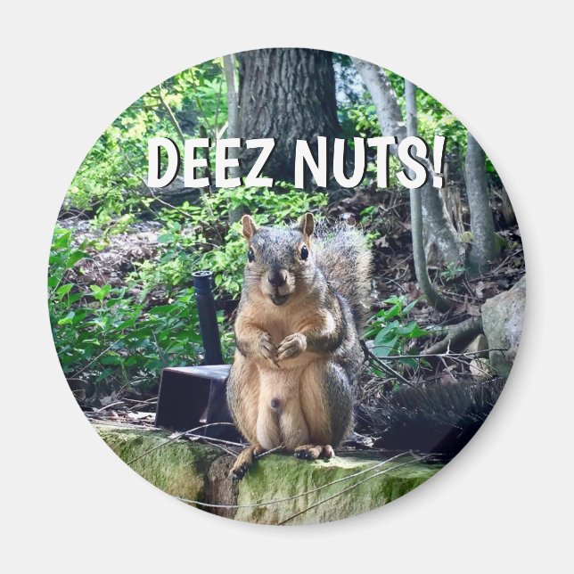 Funny Squirrel Deez Nuts Inappropriate Humour Phot Magnet (Front)