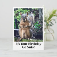 Funny Squirrel Go Nuts It's Your Birthday Card