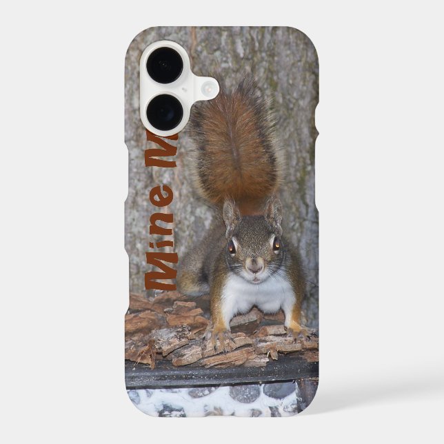 Funny Squirrel iPhone Case (Back)