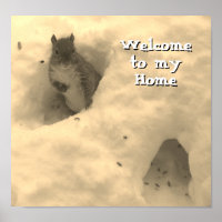 Funny Squirrel Saying Poster