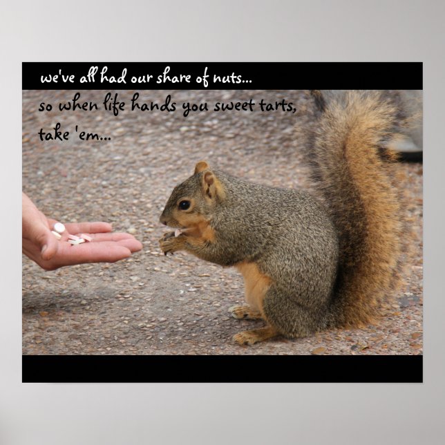 Funny Squirrel  "when life hands you sweet tarts" Poster (Front)