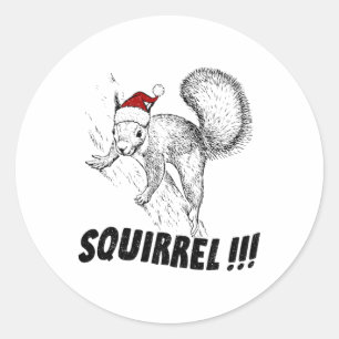 Funny Squirrel With Hat Christmas Vacation Old Fas Classic Round Sticker