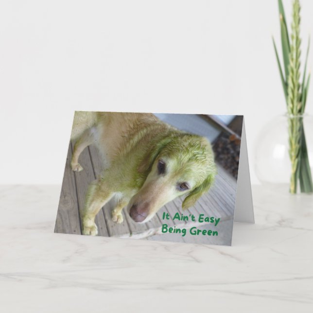 Funny St. Patricks Green Golden Retriever Card (Front)