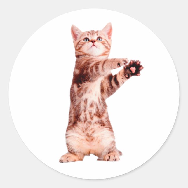 Funny standing playful kitten classic round sticker (Front)