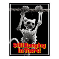 Funny Still Hanging In There Cat