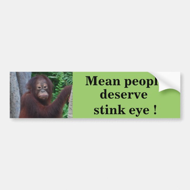 Funny Stink Eye Bumper Sticker (Front)