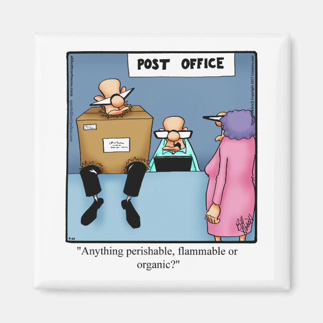 Funny Stocking Stuffer Humourous Magnets (Front)