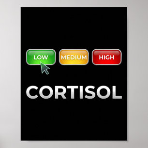 Funny Stress Metre Mental Health Low Cortisol Leve Poster