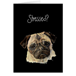 Funny, Stressed? Hug a Pug!, Dog, Pet, Animal
