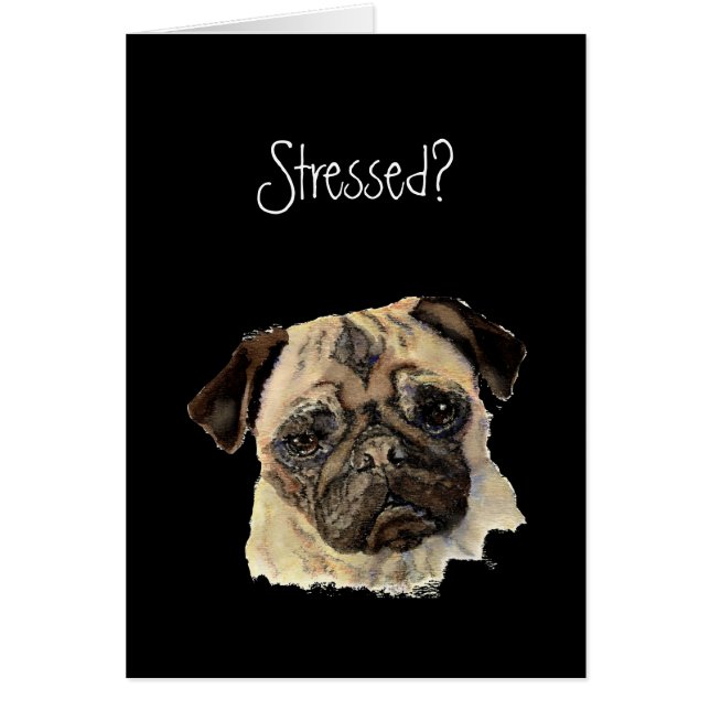 Funny, Stressed? Hug a Pug!, Dog, Pet, Animal (Front)
