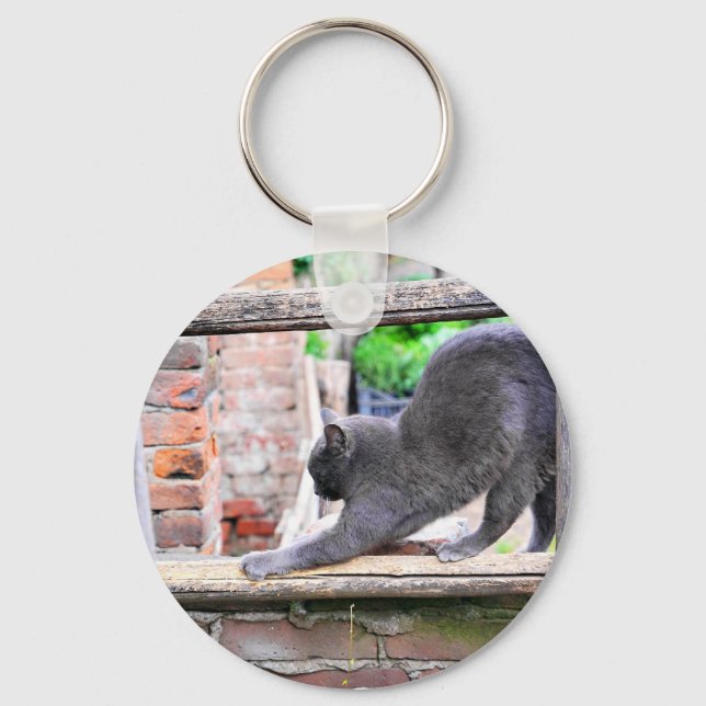 Funny stretching cat key ring (Front)