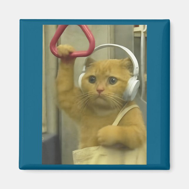 Funny Subway Cat Meme Stud Brainrot Cats Humor Kit Magnet (Front)
