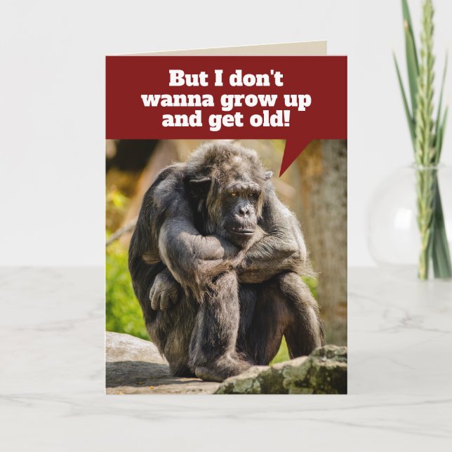 Funny Sulking Chimpanzee- Doesn't Want to Grow Up Card (Front)