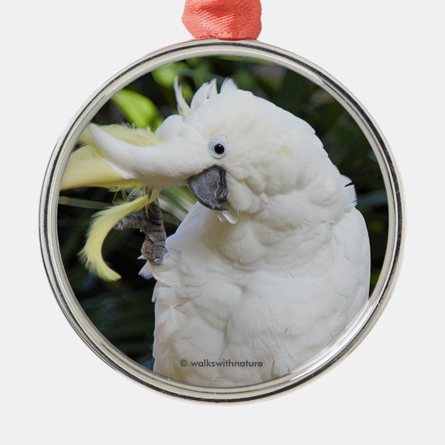 Funny Sulphur-Crested Cockatoo Parrot Bird Waves Metal Ornament (Front)