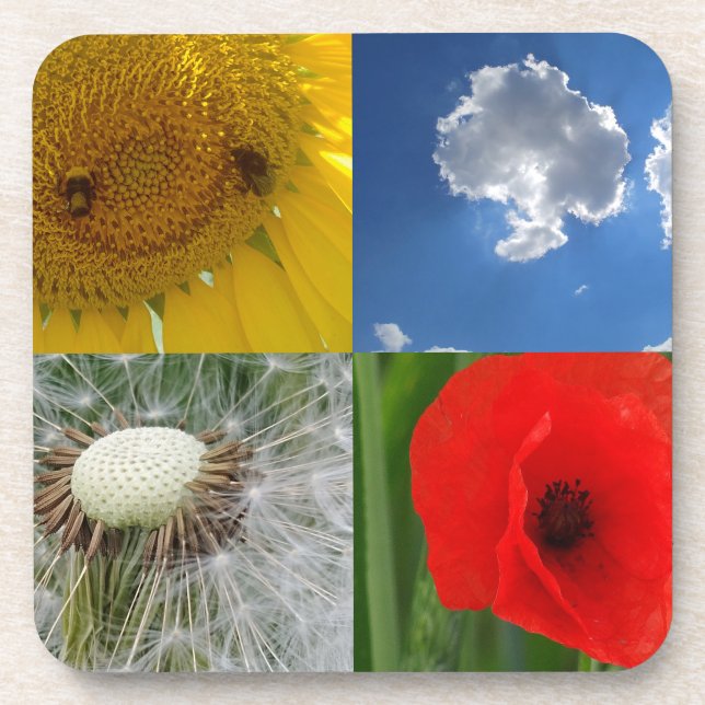 Funny Summer Flowers Coaster (Front)