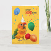 Funny Sun Conure Parrot Birthday