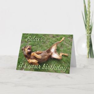 Funny sunbathing dog birthday card