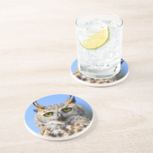 Funny Surprised Beautiful Great Horned Owl Coaster