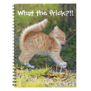 Funny Surprised Ginger Kitten. What the frick? Notebook