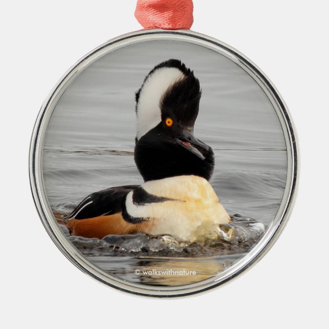 Funny Surprised Hooded Merganser Waterfowl Duck Metal Ornament (Front)