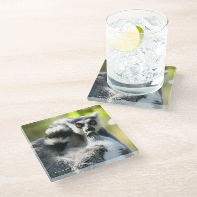 Funny Surprised Lemurs of Madagascar Glass Coaster (Angled)