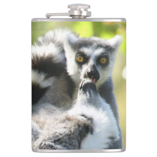 Funny Surprised Lemurs of Madagascar Hip Flask