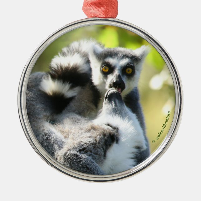 Funny Surprised Lemurs of Madagascar Metal Ornament (Front)
