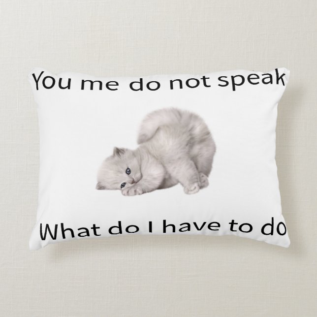 Funny T-shirt Decorative Cushion (Front)